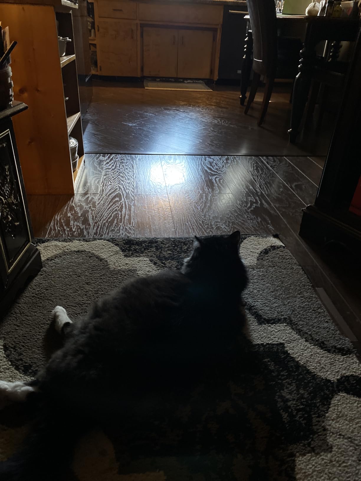 roborock Qrevo Series Robot Vacuum and Mop, Upgraded from Qrevo S customer photo 2