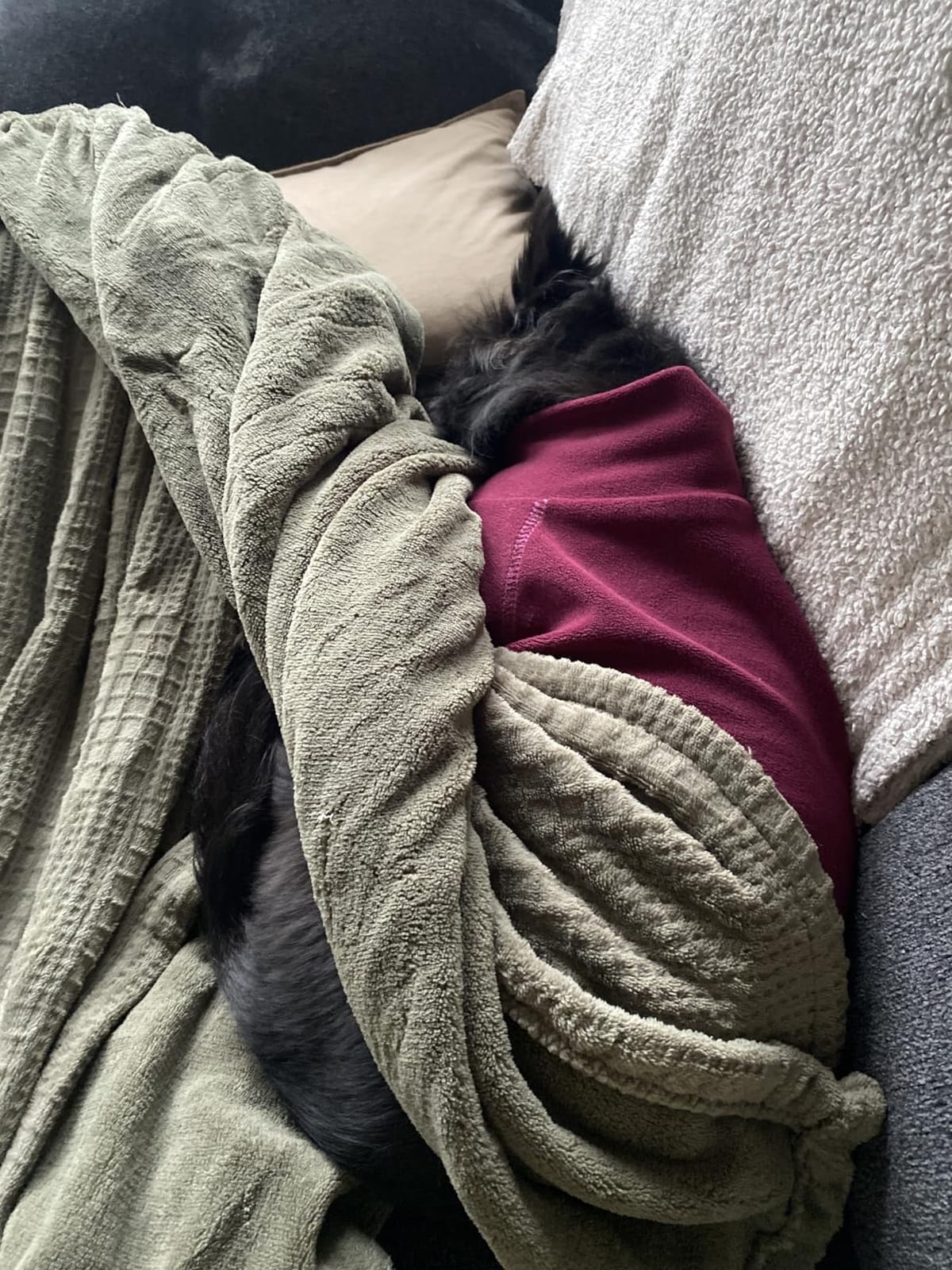 Texciting Heated Throw customer photo 2