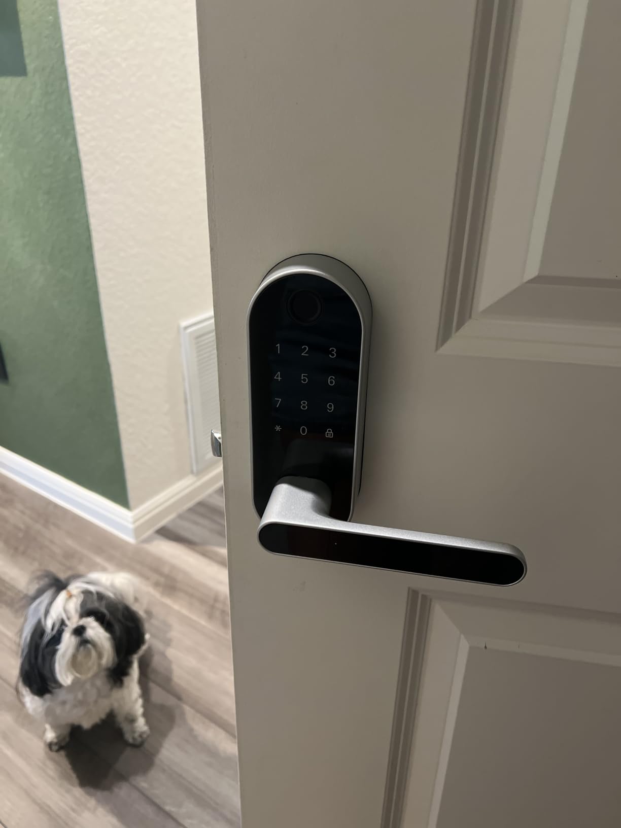 Built-in WiFi Fingerprint Smart Door Lock with Handle & Keypad – Remote Access & Auto-Lock, Keyless Entry for Home, Airbnb & Rental, 6-in-1 Unlock: Code/Card/App/Key, Compatible with Alexa & Google customer photo 2