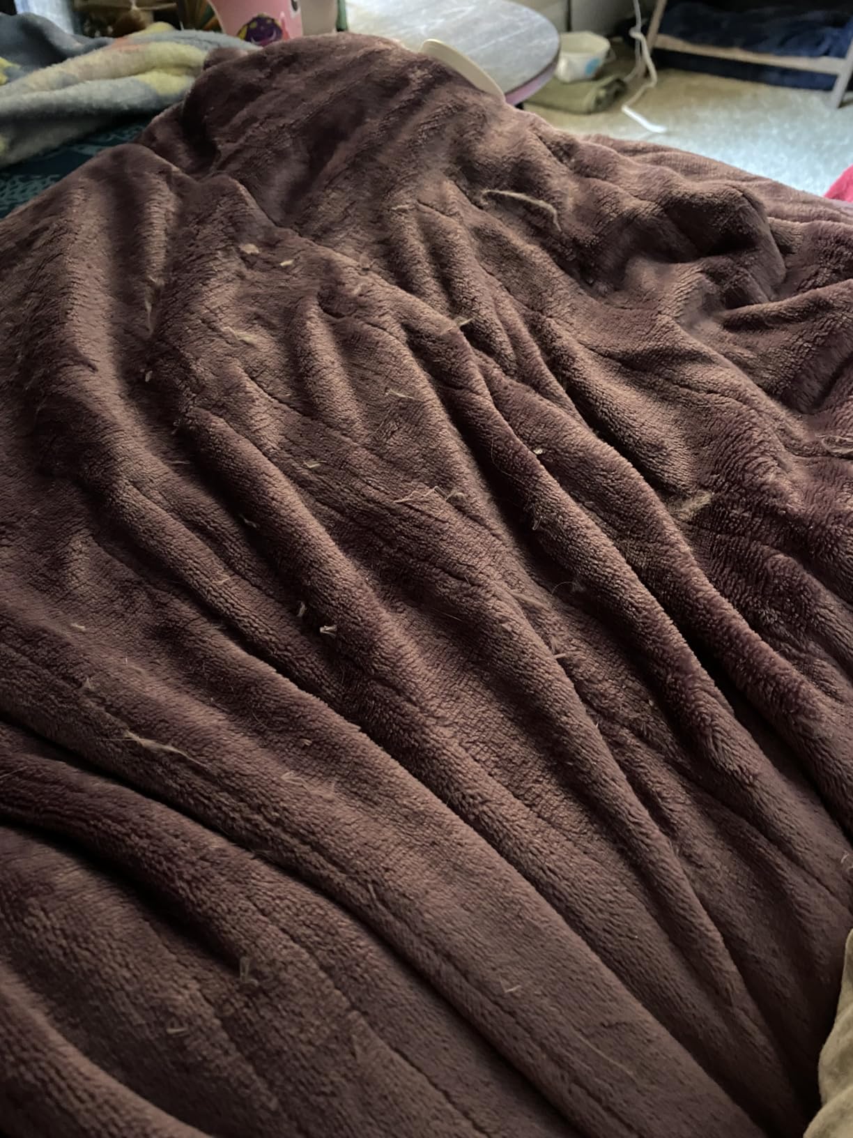 Wapaneus Queen Dual-Control Blanket customer photo 1