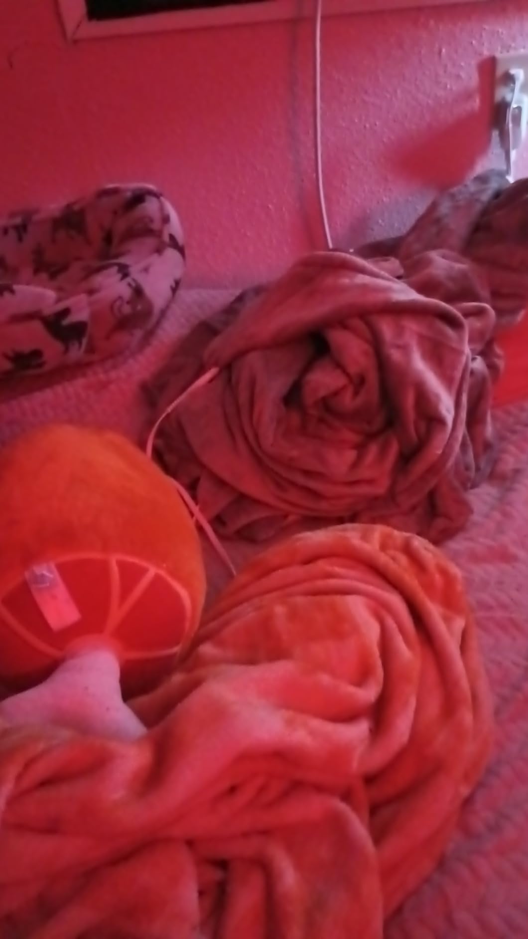 Wapaneus Queen Dual-Control Blanket customer photo 2