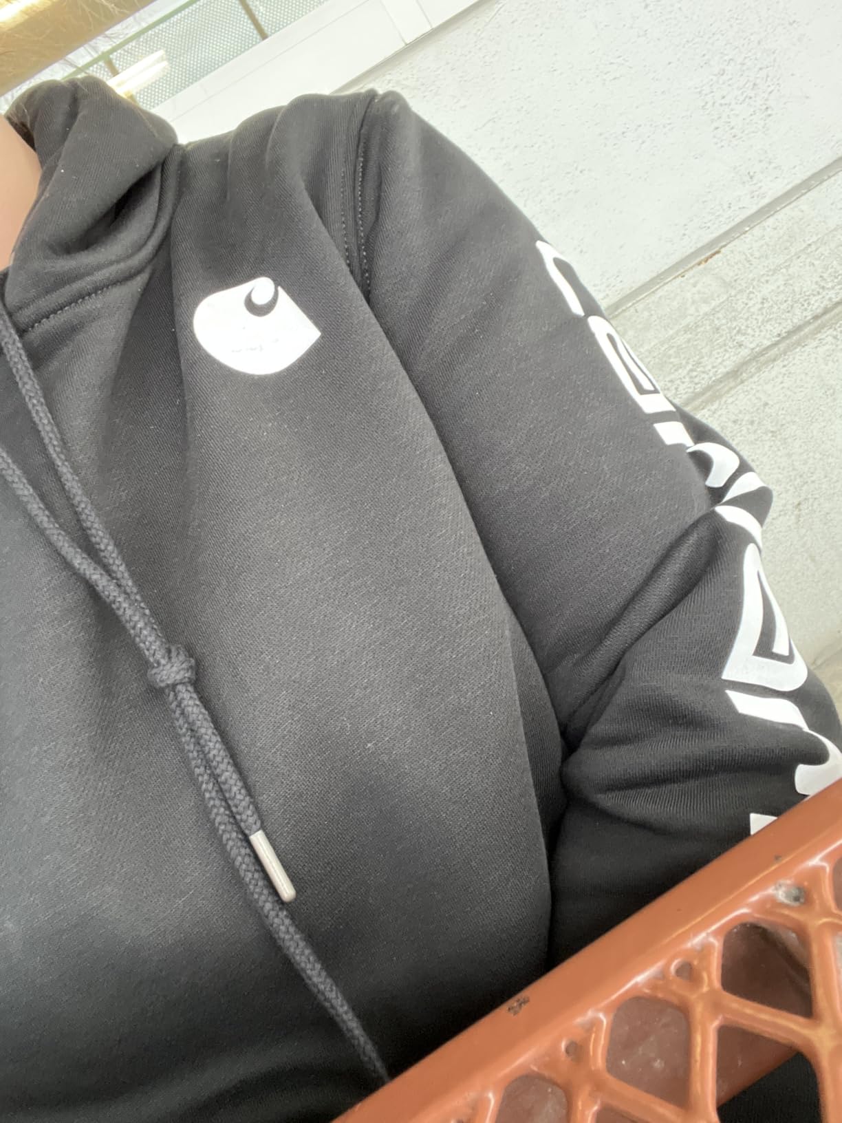 Carhartt Women's Iconic Clarksburg Logo Sweatshirt customer photo 1