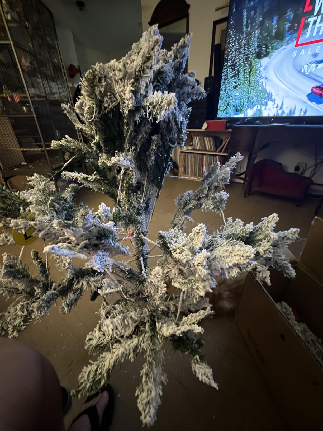 Instree 6ft Remote Spruce customer photo 1