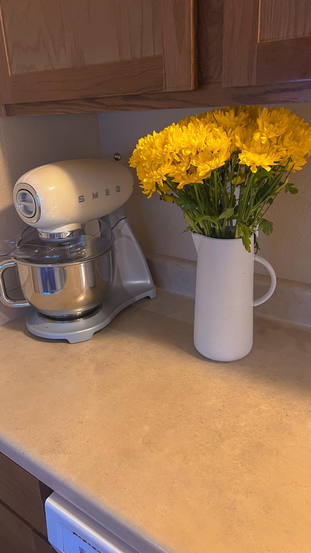 SMEG SMF04 5-Qt Stand Mixer with Smooth Start & SteadyMix, 600W Motor, 10 Speeds, Stainless Steel Bowl & Pour Shield – Retro 50’s Style Planetary Mixer for Bread Dough, Baking & Desserts-Cream customer photo 1